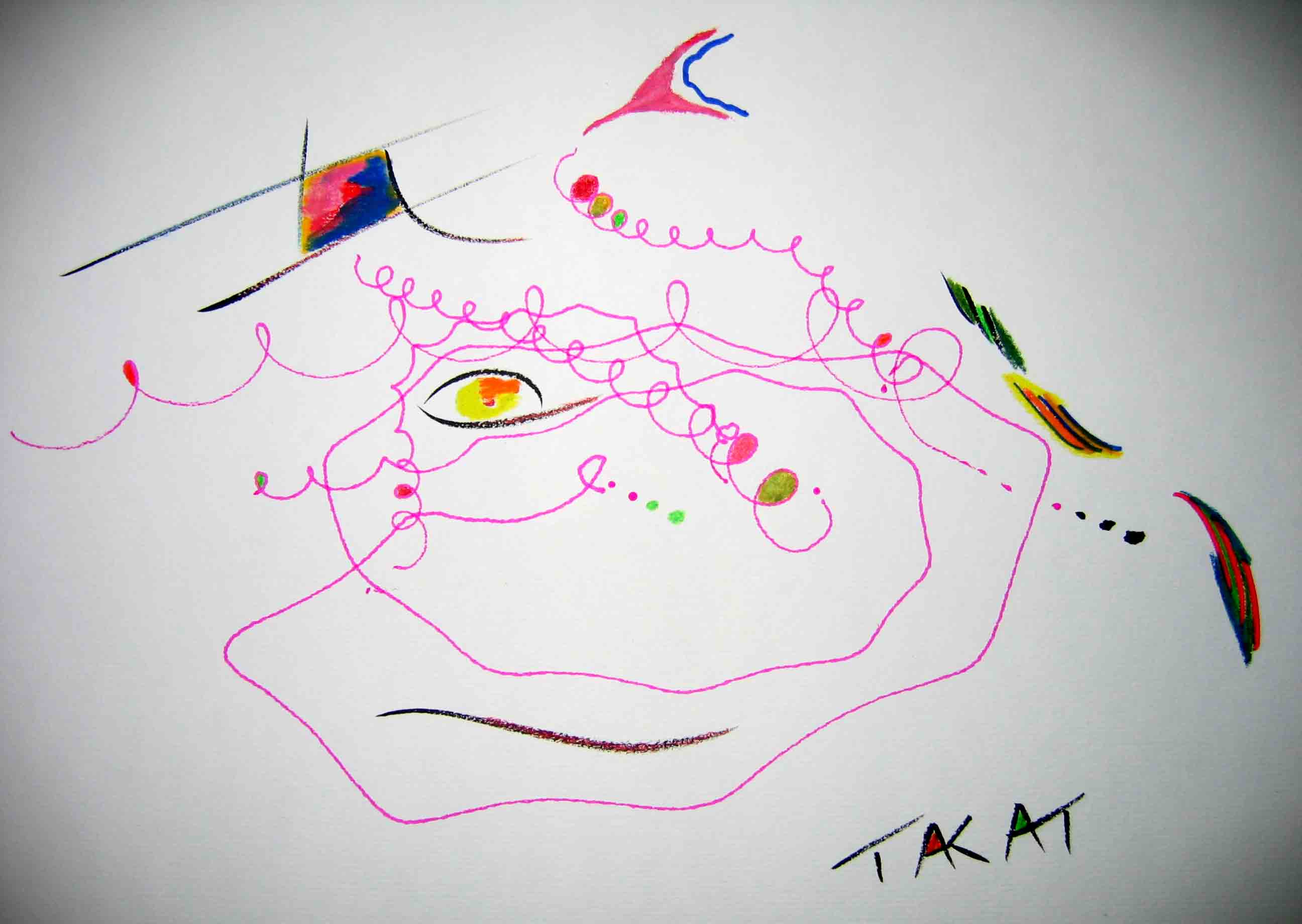 Copyright by TAKAT