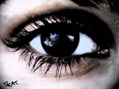 In-the-eye-of-the-storm