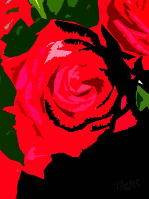 Red-rose-1